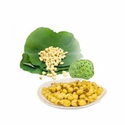 Crispy dried lotus seeds