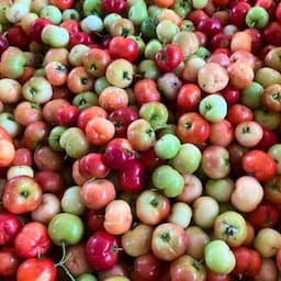 Fresh acerola fruit