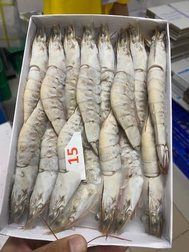 Frozen giant tiger prawns