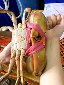 Meaty crab