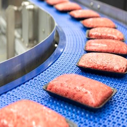 conveyor solutions