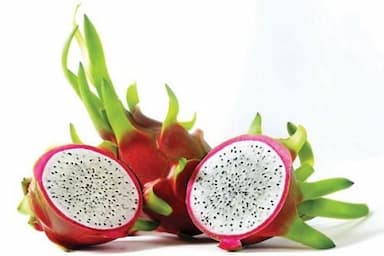 White flesh dragon fruit