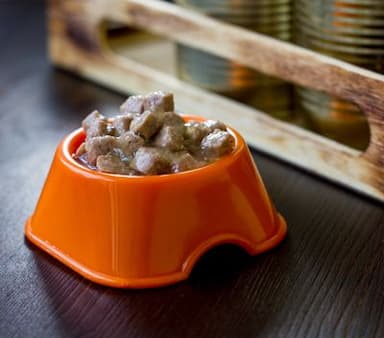 canned pet food