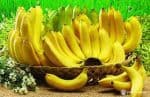 Banana flavor