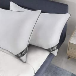 LINNDA HOME Goose Down Pillow - Goose Down Pillow