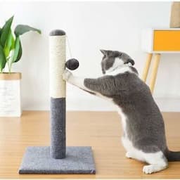 Cat Scratcher Post Tree Cat Scratcher Board