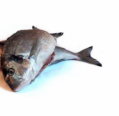Frozen Fish