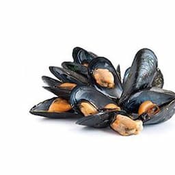 Frozen Molluscs
