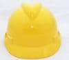 Safety Helmet