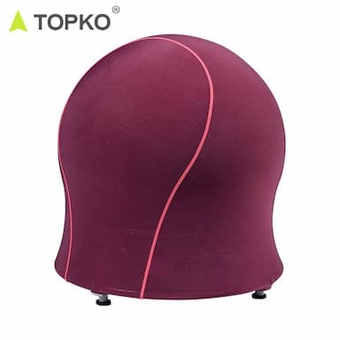 Home Gym Exercise Ball with Detachable 15 lb Resistance Bands and Removable S...