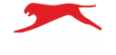 Company icon