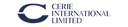 Company icon