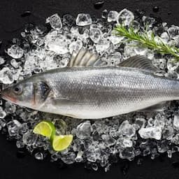 Seawater Fish