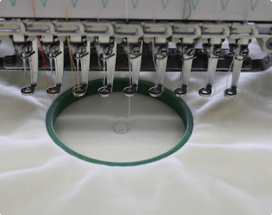Embroidered Garment
