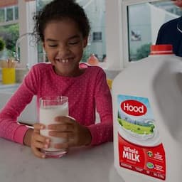 Hood Whole Milk