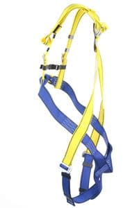 P-30 Safety harness