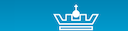 Company icon