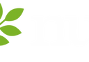 Company icon