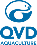 Company icon