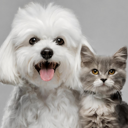 Pet Food