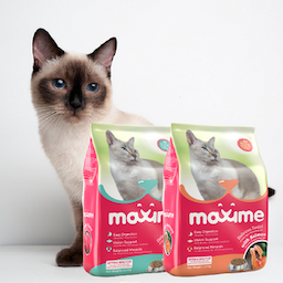 Maxime Adult Cat (Tuna and Salmon)