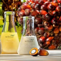 Palm Oil