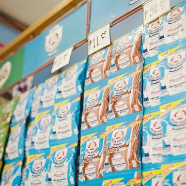 Bear Brand Fortified Powdered Milk Drink