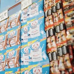 Bear Brand Fortified Powdered Milk Drink