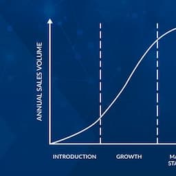product-lifecycle-management-phases