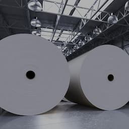 Pulp & Paper