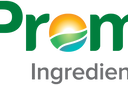 Company icon