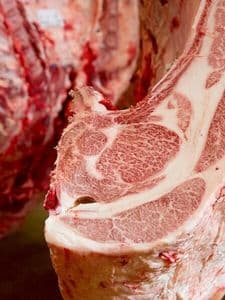Wagyu Beef