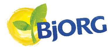 Bjorg
