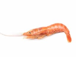 Langostino entero (HOSO)