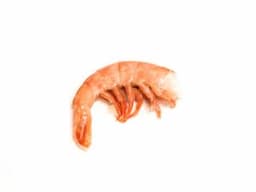 Cola de langostino (HLSO)