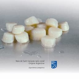 Noix de Saint Jacques sans corail