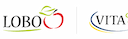 Company icon