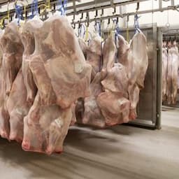 Fresh meat