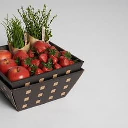 Wine and Gift Packaging
