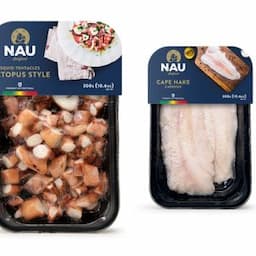 SQUID TENTACLES OCTOPUS STYLE, CAPE HAKE CAPENSIS