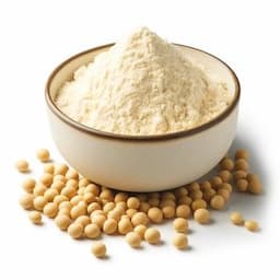 High-quality soy proteins – Versatile solutions for the food industry