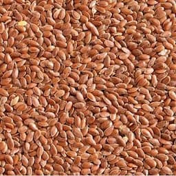 Flaxseed Protein - Professional, Agri-food, Cosmetic, Nutraceutical, Ingredients