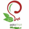 Company icon