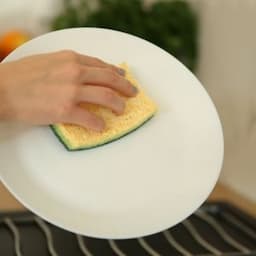 Dishwashing & Surface Care