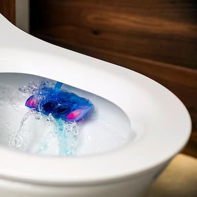 Home Cleaning & Lavatory Care