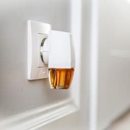 Air Fresheners
