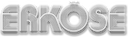 Company icon