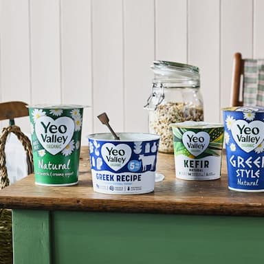 Yogurt