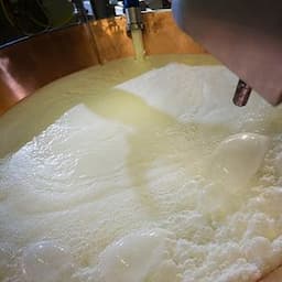 Grana Padano