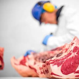 Beef & Lamb